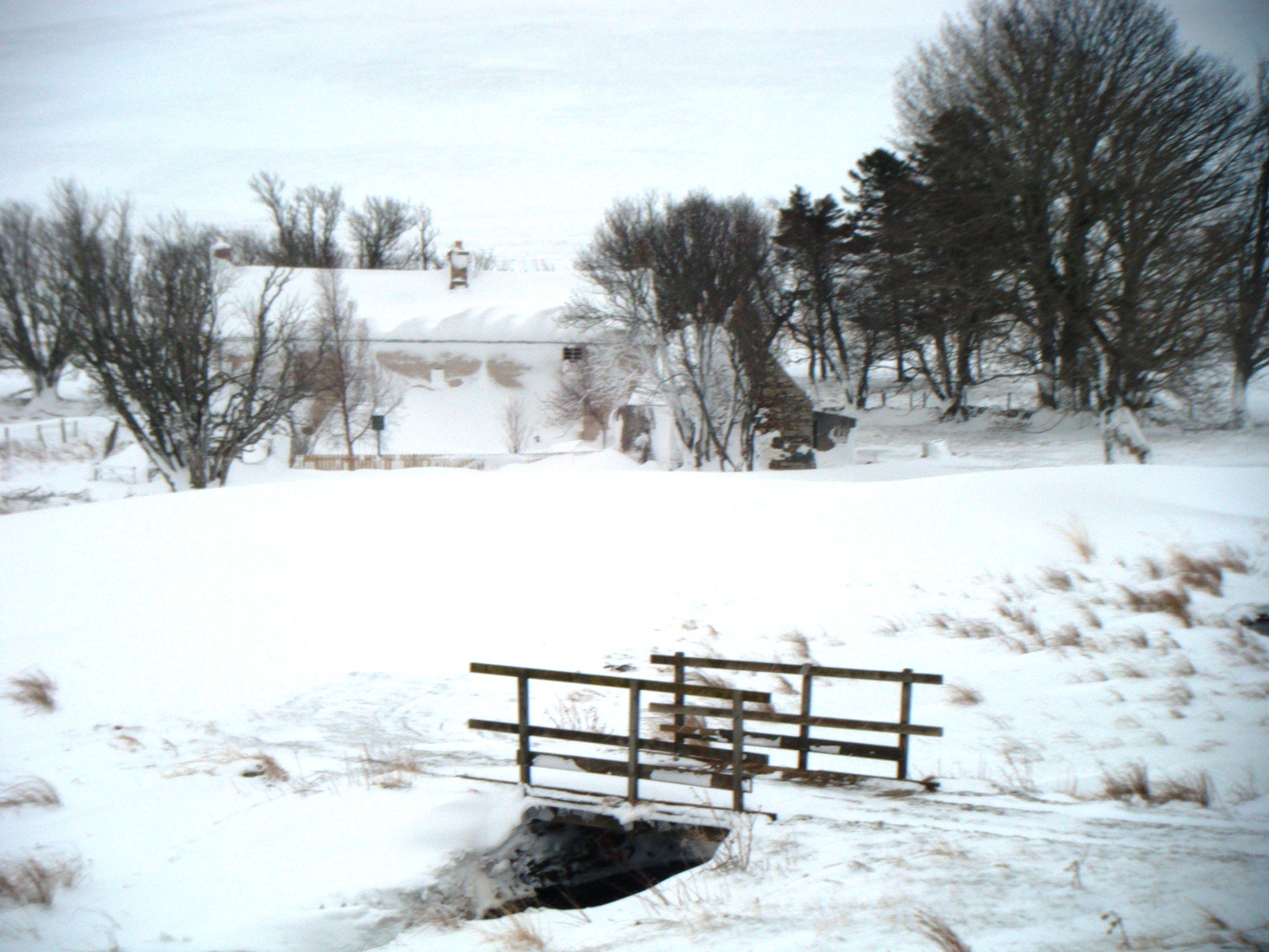 scalaninwinter
